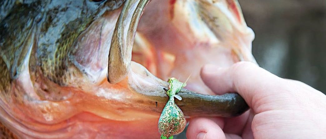 How to Tie a Spoon Fly That Will Catch Fish Anywhere